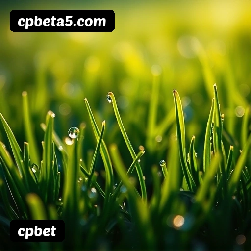 Coleção Premium de Slots cpbet - NetEnt, Pragmatic Play, Evolution